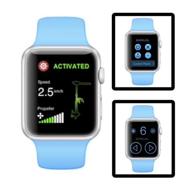 Cayman B GPS Helmsman Apple Watch App Controls